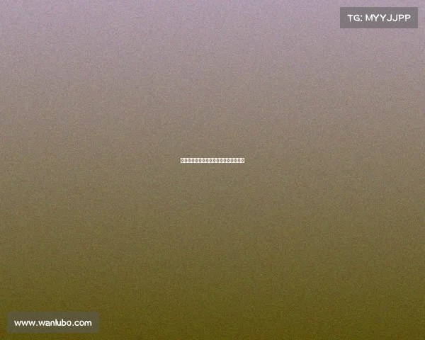 云端竞逐场：当轻舟载起电竞的沸腾时刻